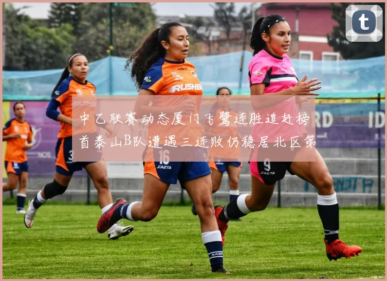 中乙联赛动态厦门飞鹭连胜追赶榜首泰山B队遭遇三连败仍稳居北区第三