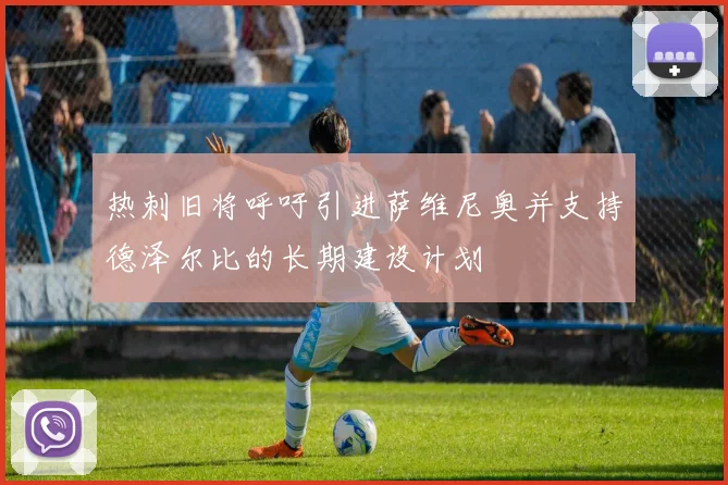 热刺旧将呼吁引进萨维尼奥并支持德泽尔比的长期建设计划